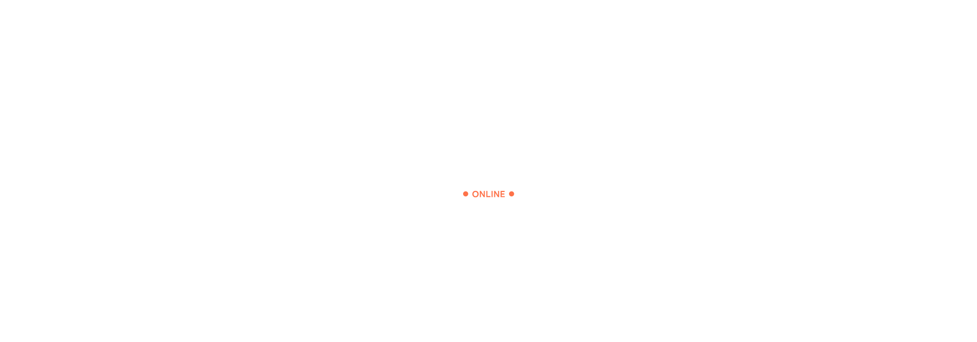 ネット申込型保険